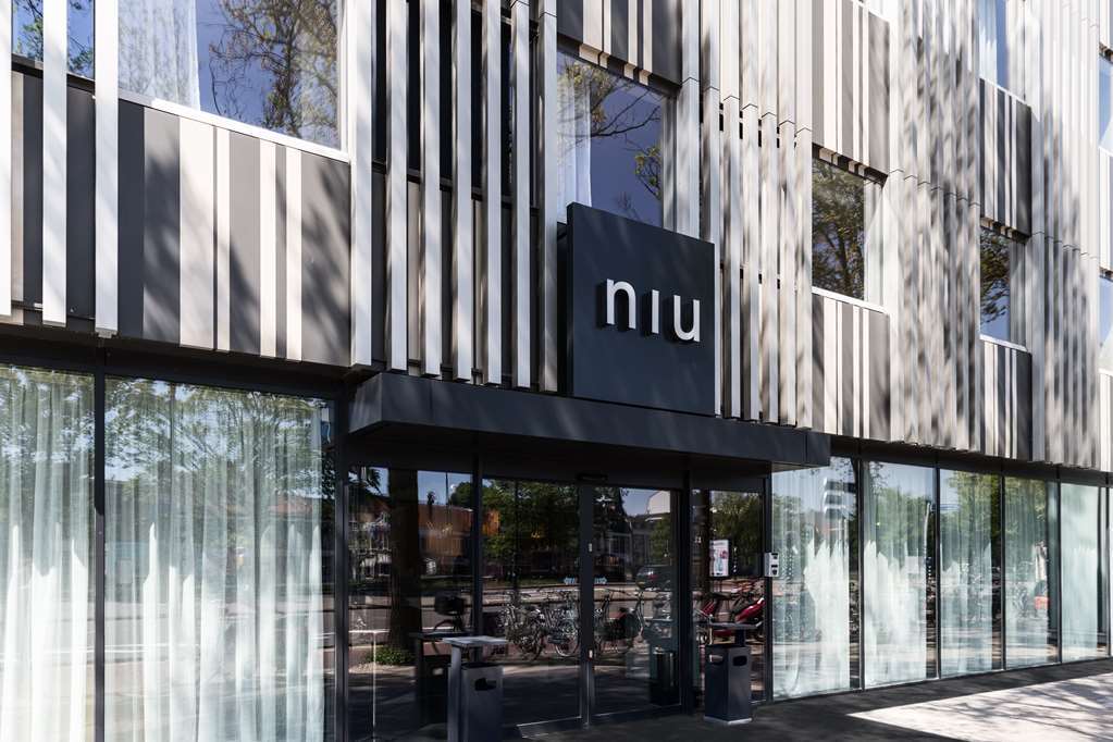- The Niu, Dairy 3*